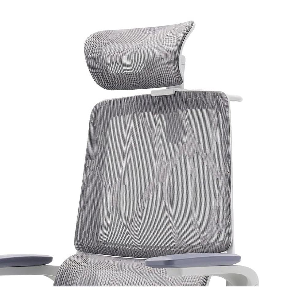 Amazon.com: SIHOO M59AS Ergonomic Office Chair, Desk Chair with 3D